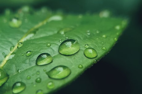 探寻雨天的浪漫之人