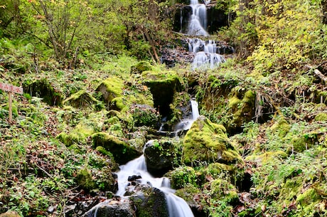 溱湖风景区：湖光山色的绝美天堂