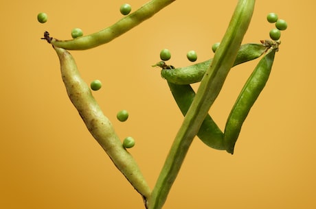 怎么煮绿豆汤，教你一道轻松消暑的夏日饮品