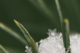 教你画雪花简笔画，轻松掌握画雪花的技巧